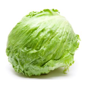 Iceberg Lettuce