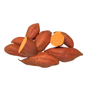 Sweet Potato