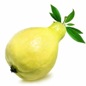 Guava
