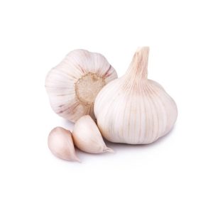 Garlic