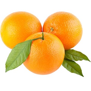 Baladi Oranges
